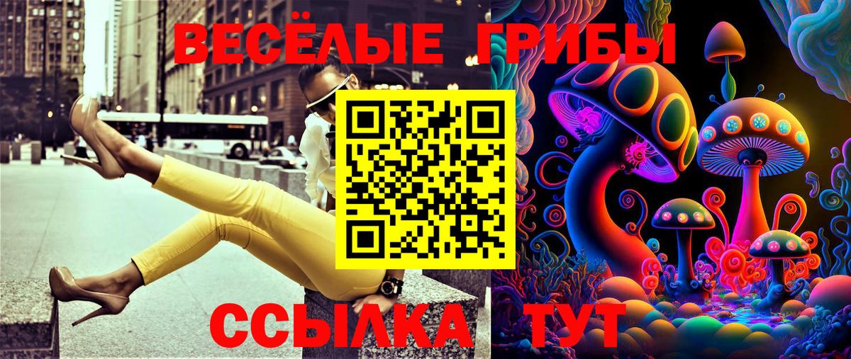 Галлюциногенные грибы Cubensis  Вход с VPN  Лысьва 